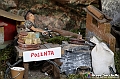 VBS_6778 - Presepe Meccanico di Nonna Rosi 2025